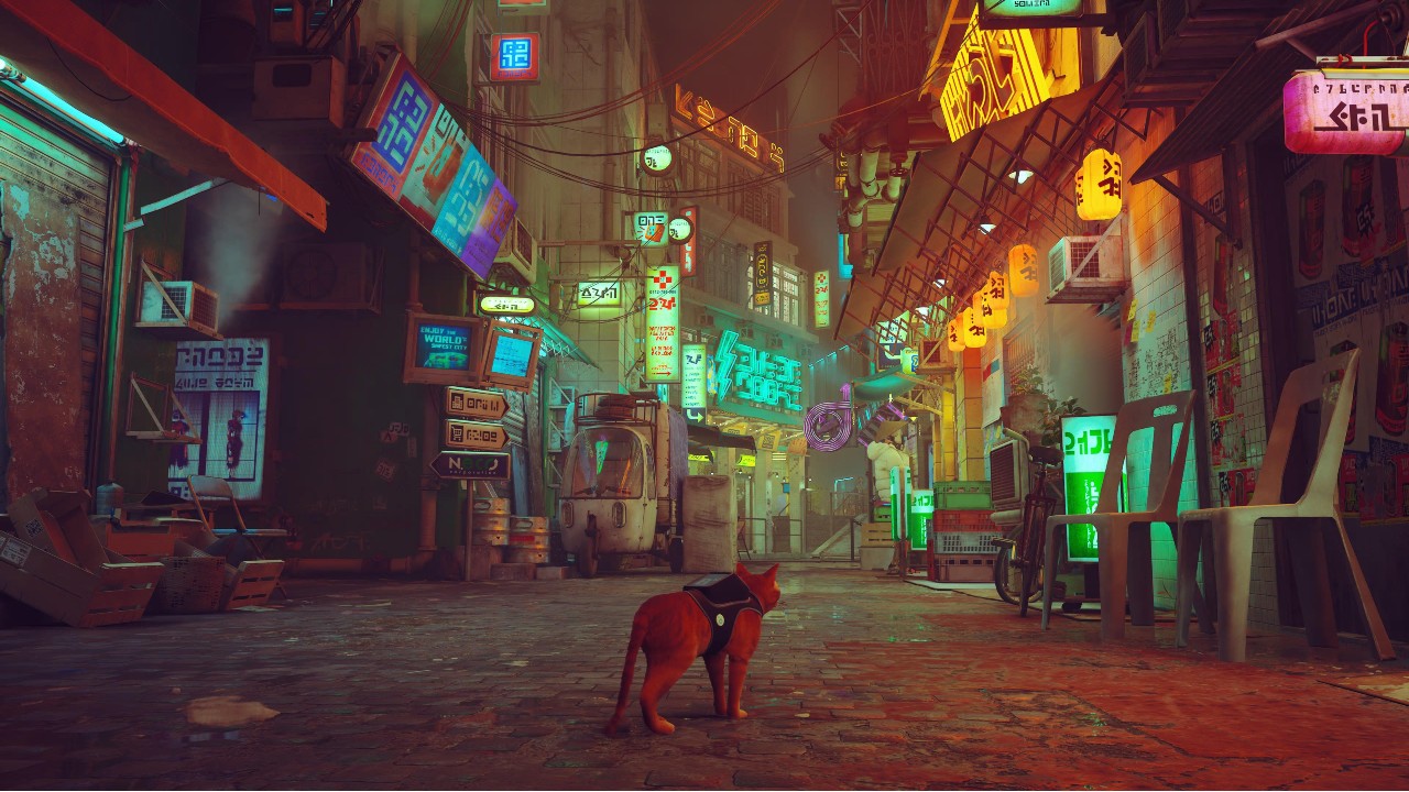 Stray-Big-City
